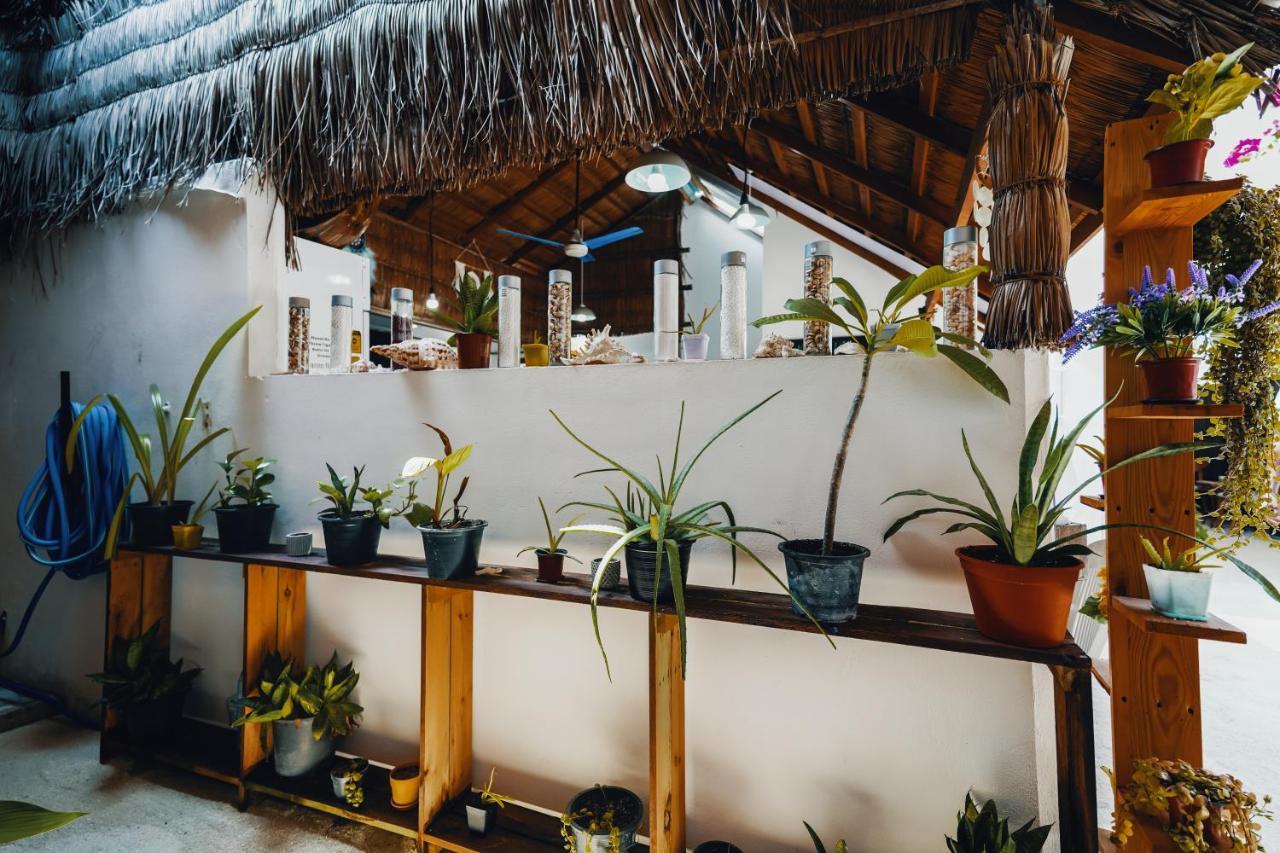 Rasdu View Inn Rasdhoo Kültér fotó